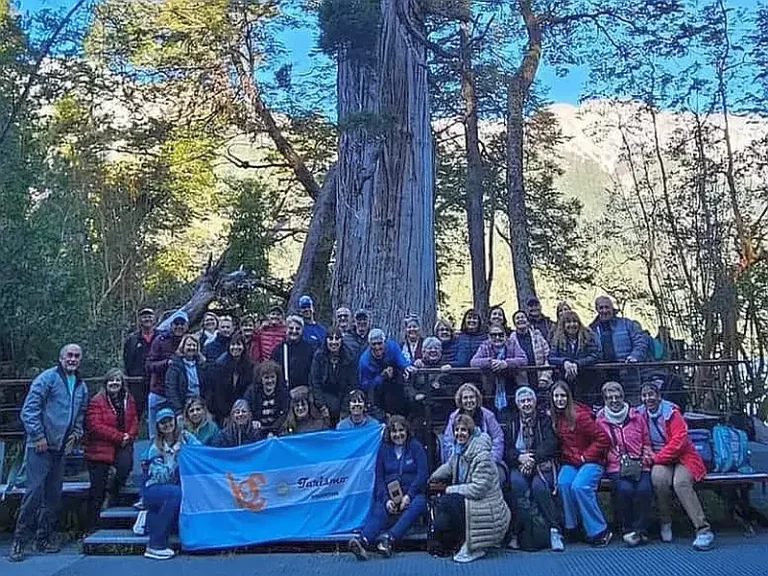 Turistas BC Turismo con árbol altísimo