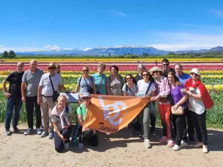 turistsand tulips